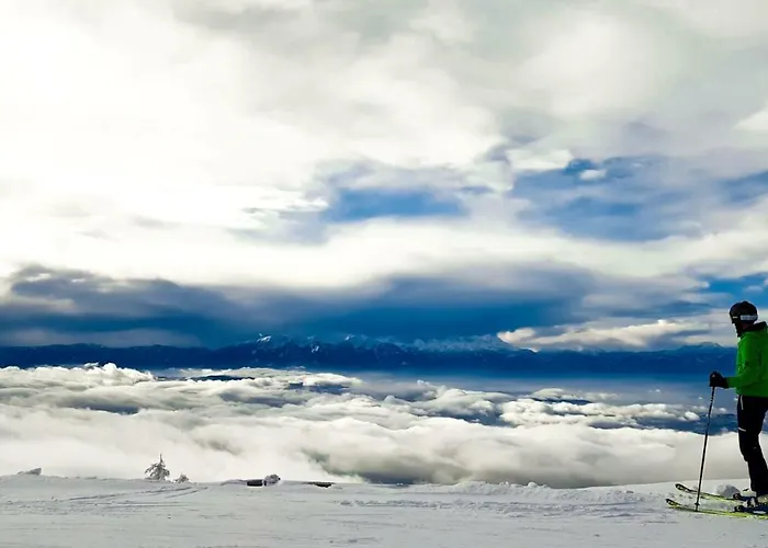 Vakantiehuis Hebalm Pack